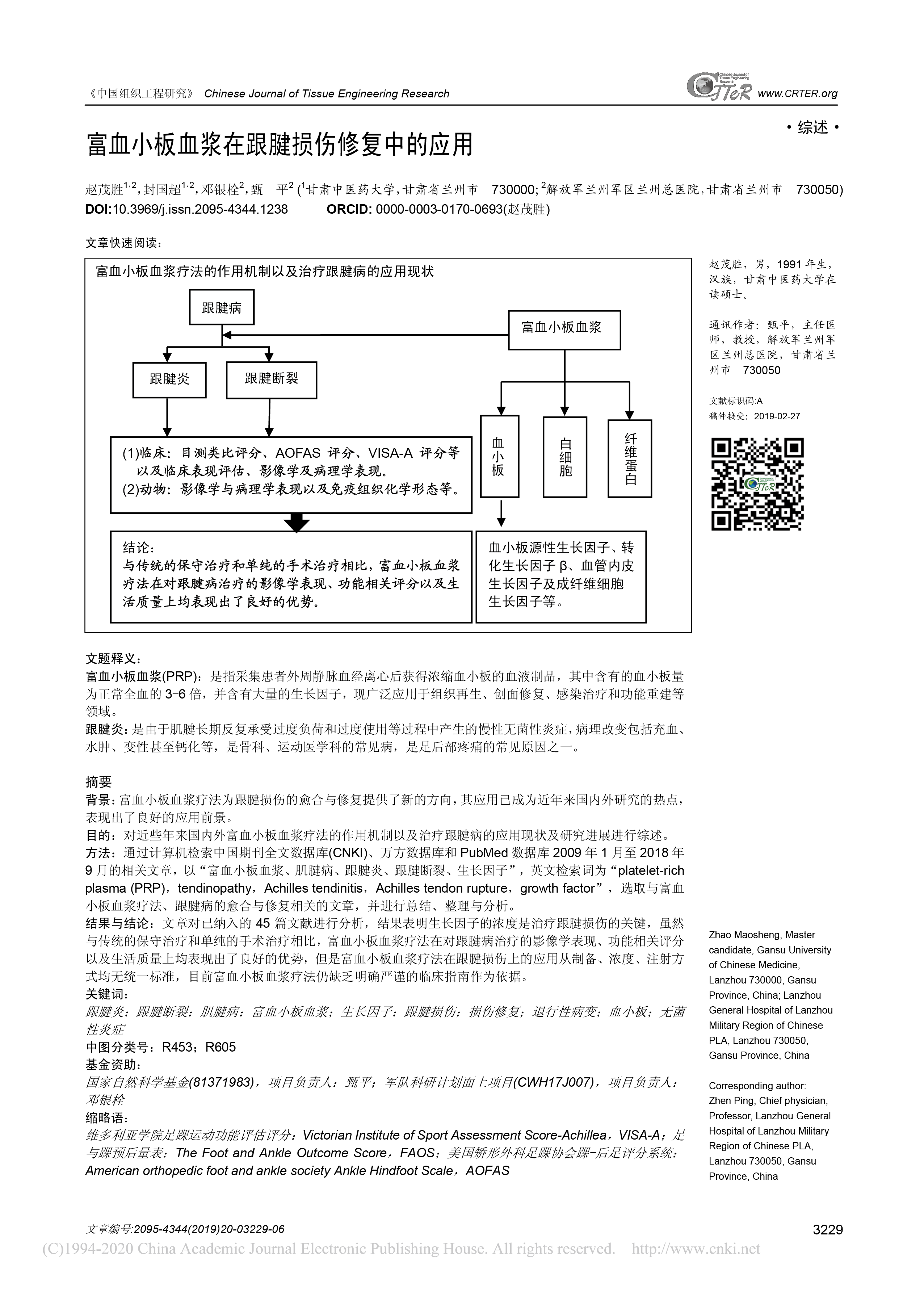 富血小板血浆在跟腱损伤修复中的应用_赵茂胜