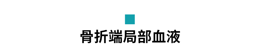 小标题4.png