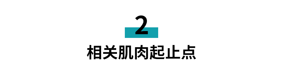 小标题6.png