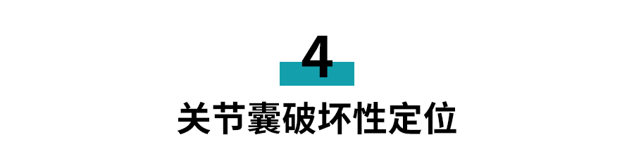 小标题8.png