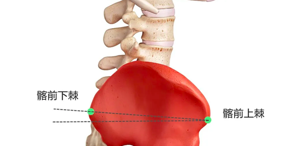 骨盆前倾如何调整？？凯斯骨科专家告诉你