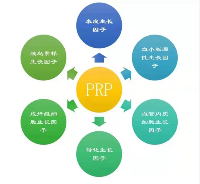 PRP - 富血小板血浆有效治疗骨关节疾病 