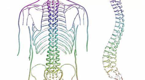 脊柱侧弯达到什么程度才需要手术治疗？