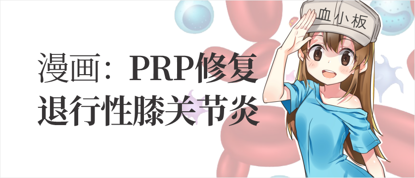 【精品科普】漫画：PRP再生修复治疗退行性膝关节炎
